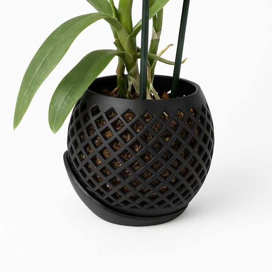 Maceta para Orquídeas